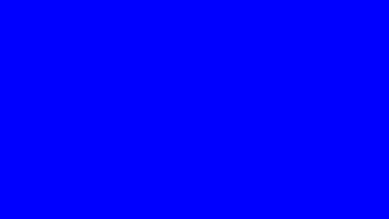 zach rolfe